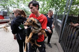 Dominik bei der Übergabe eines Hundes in Ungarn - Einsatz - Hundenotfall.