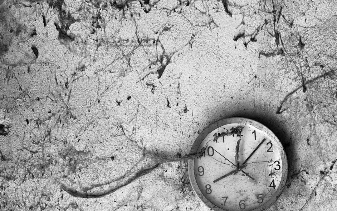 Brigitta Müllner „Pforten der Hölle“