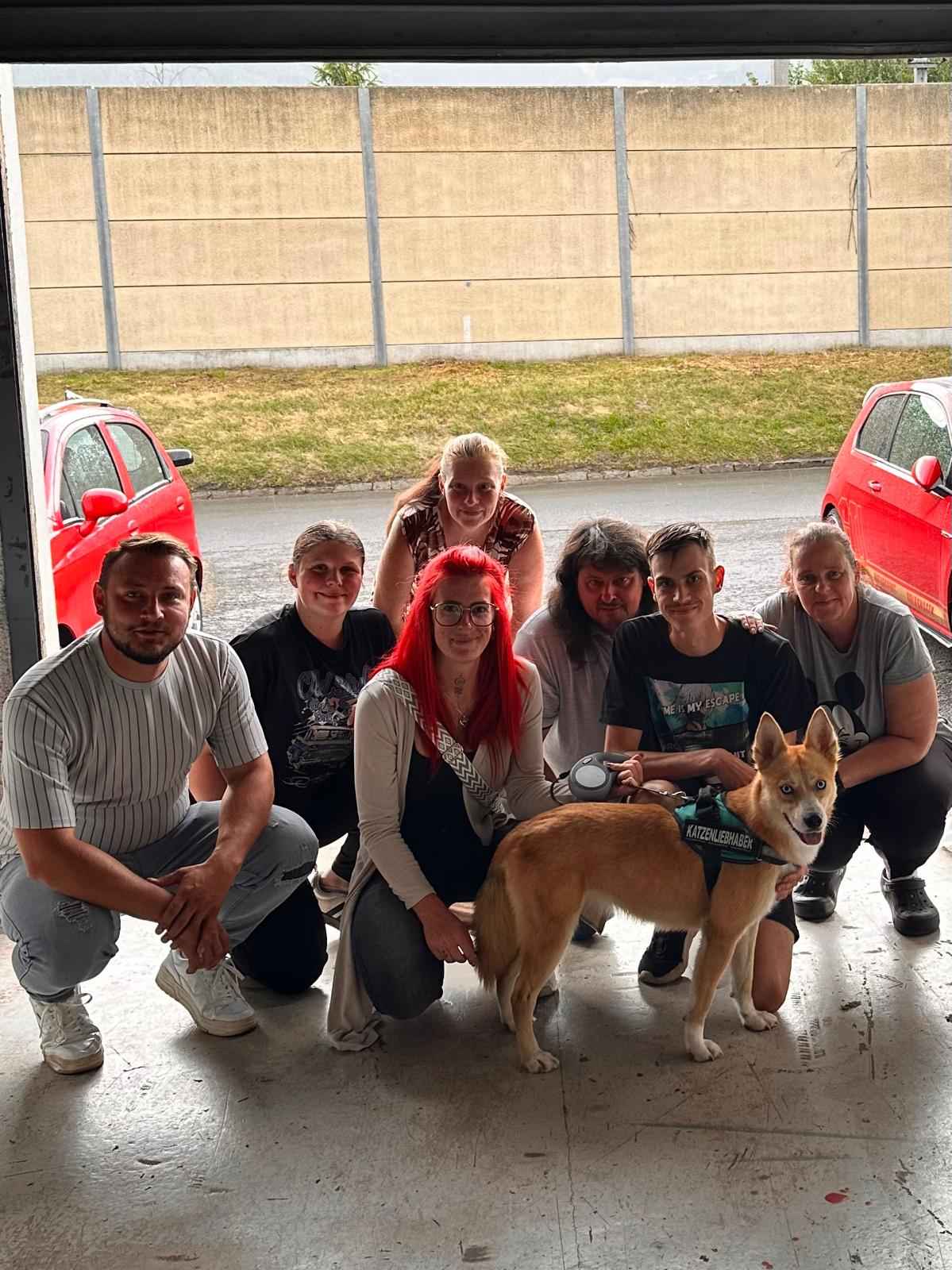 Dieses Bild zeigt Der Diebstahl von Ella und gehört zur Pfoten Glücksschmiede.