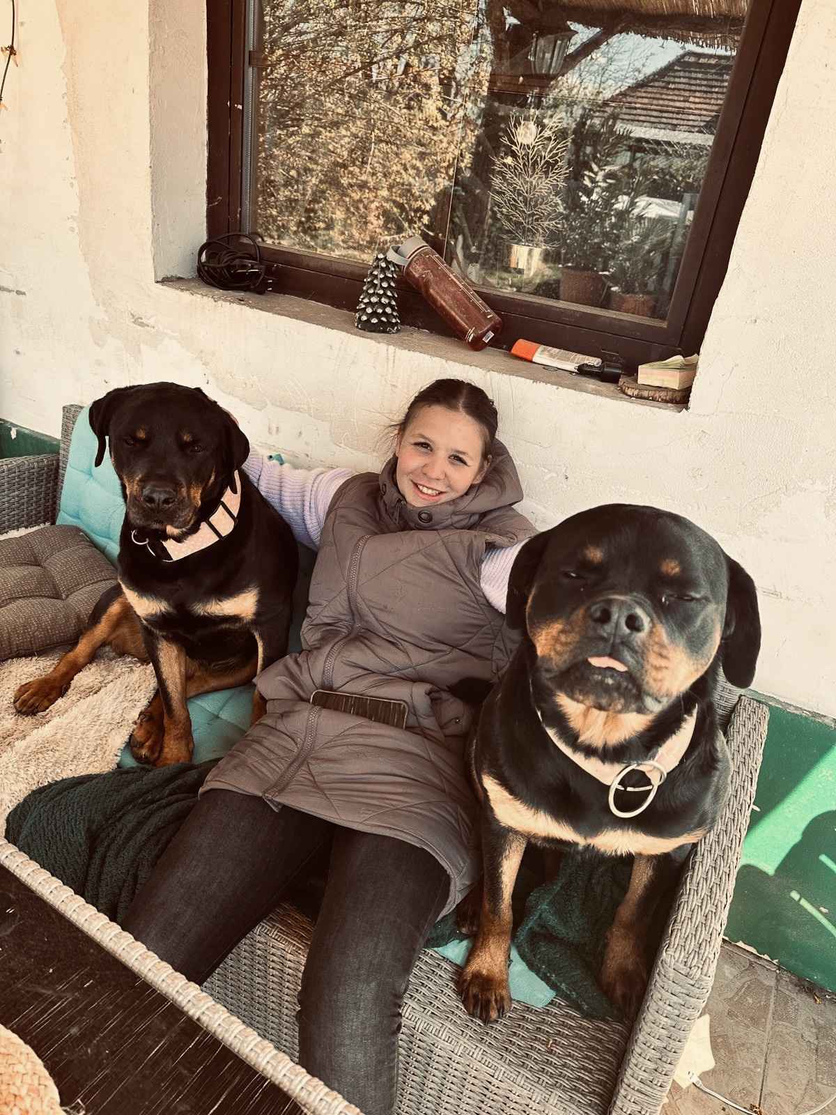Dieses Bild zeigt Unser kleiner Hero und gehört zur Pfoten Glücksschmiede.